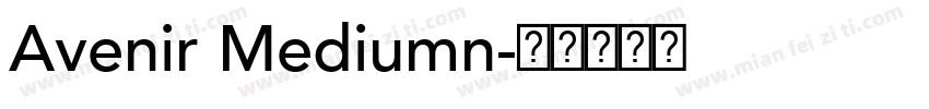 Avenir Mediumn字体转换